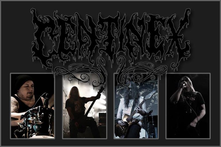 CENTINEX Reforms; New Album And Live Shows Planned