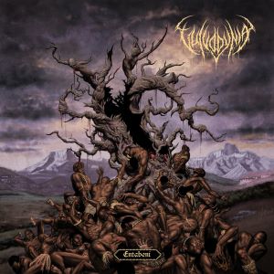 Vulvodynia – Entabeni (Unique Leader)